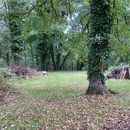 Les Clos De L'ane *