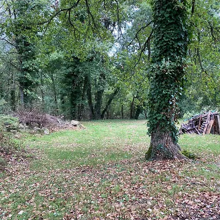 Les Clos De L'ane *