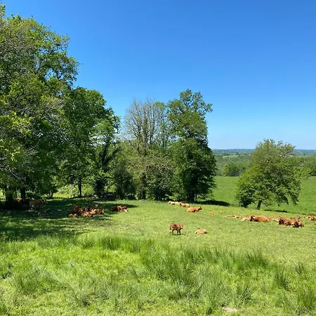 Les Clos De L'ane Homestay