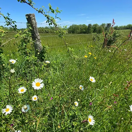 Homestay Les Clos De L'ane Busserolles
